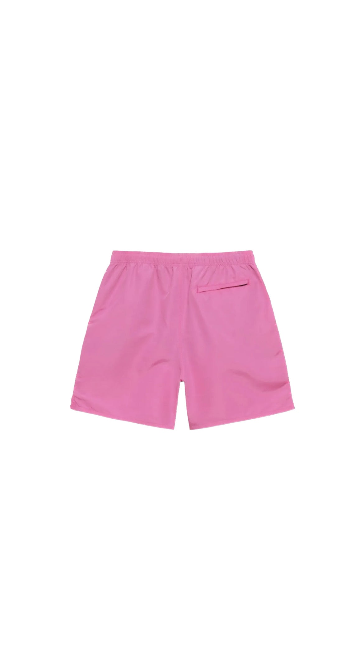 Stussy Stock Water Short