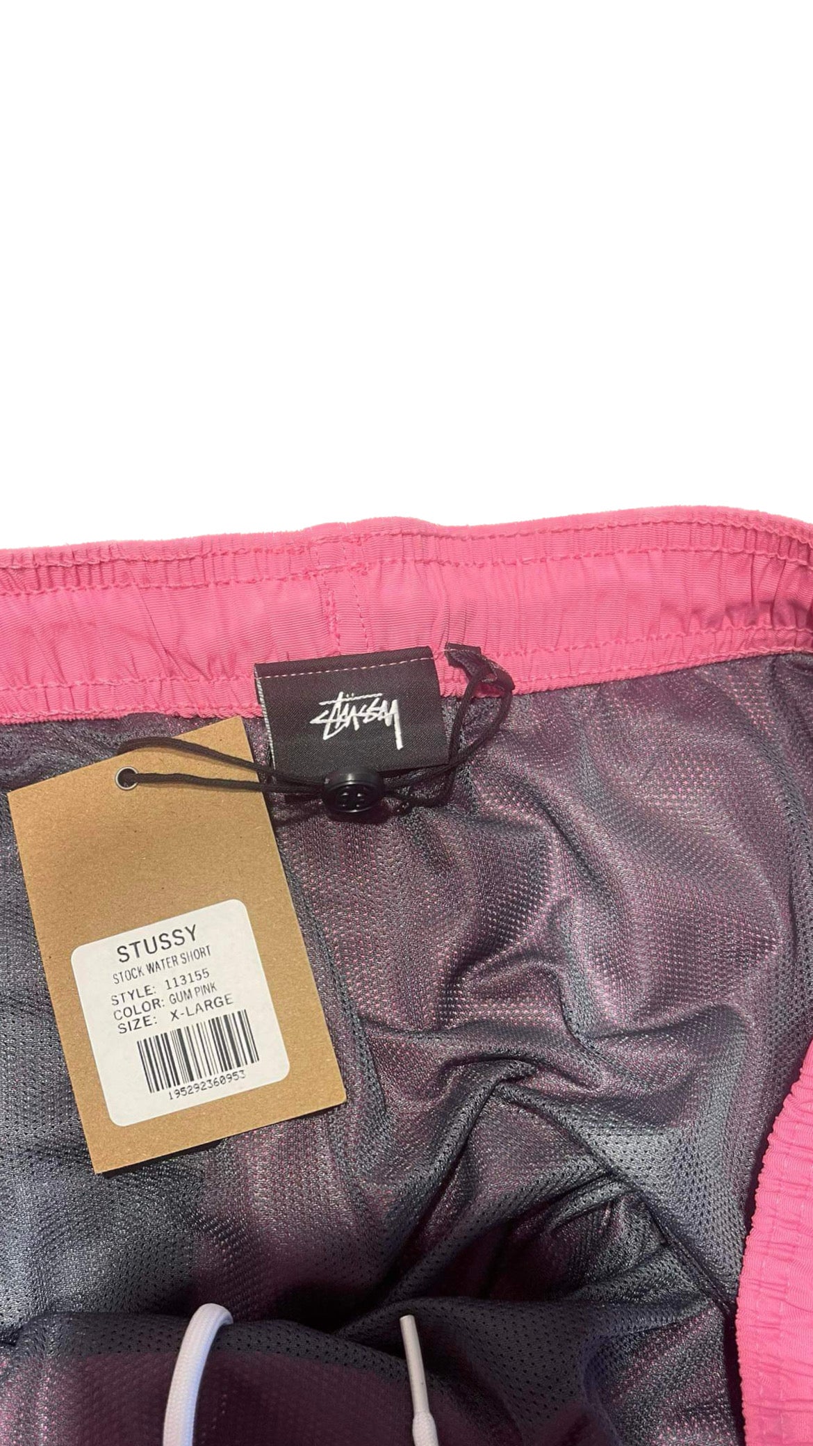 Stussy Stock Water Short